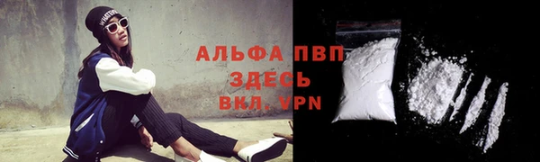 стафф Надым